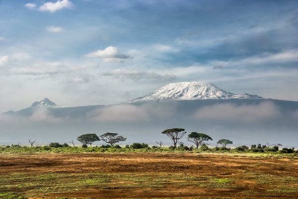 Kenya 600 Best Money Transfer Service Options