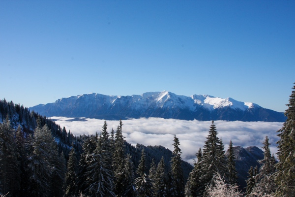 Romania 600 Best Money Transfer Service Options